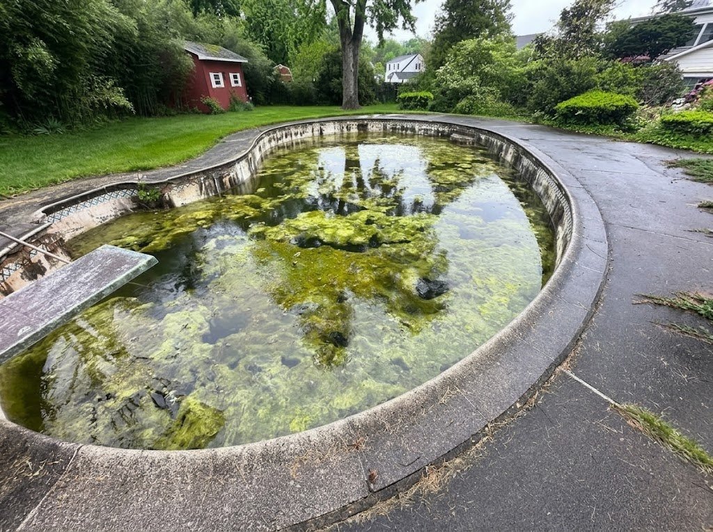 Neglected in-ground pool before demolition in Central NJ